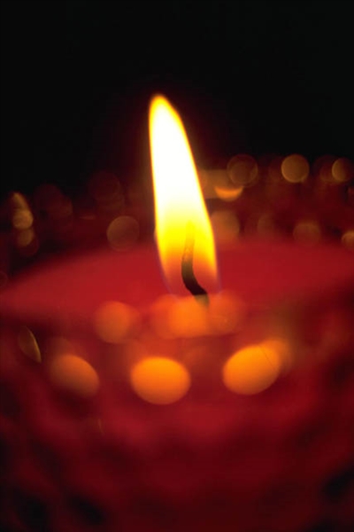 �Q�X�g�e�[�u���ł̉��o